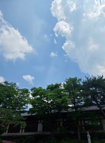 법정스님 책읽기 모임 7월 8일 후기