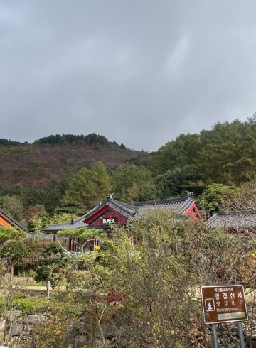 2025 숲길에서 만나는 명상 "숲길명상" - 10.2…