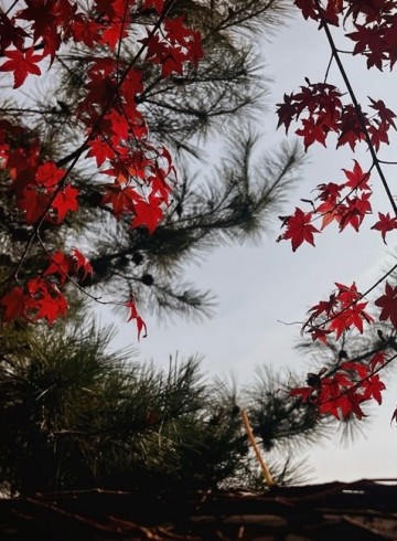 법정스님 책읽기 모임 11월 6일 후기