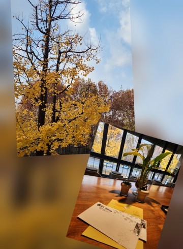 가을의 끝자락에 도착한 향기엽서