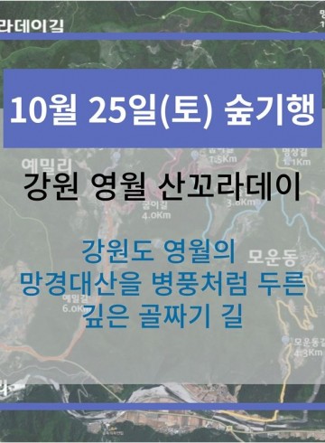 10월 25일 숲기행 - 강원 영월 산꼬라데이