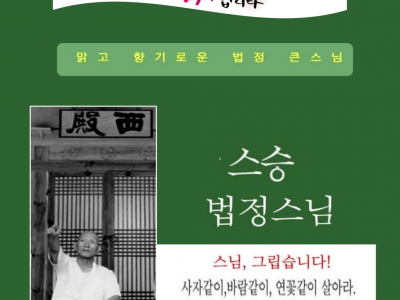 2025년 스승의날  법정스님을 그리며!